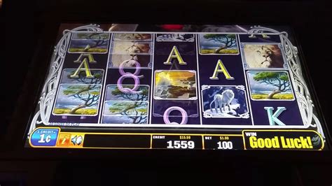 white lion casino slots,Mais